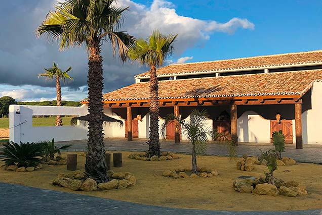 Pérgola rústica de tronco para cuadra de caballos en Doñana, Huelva.