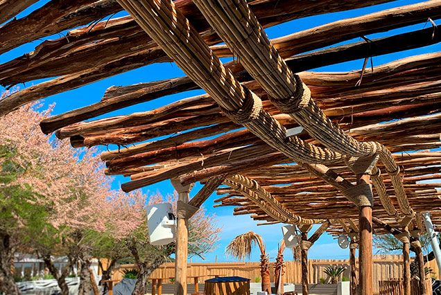 Pérgola de madera y tronoc con junco africano Carritx